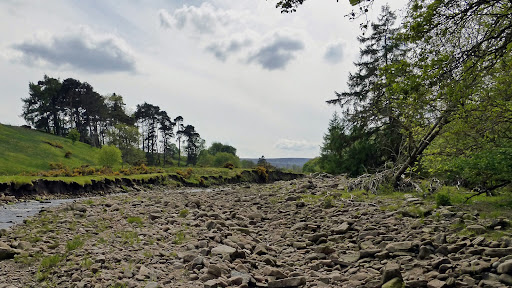 More Live Nature banner