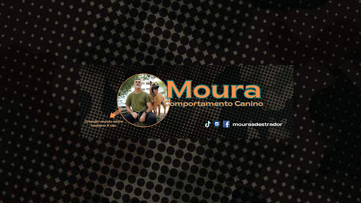 MOURA | Comportamento Canino banner
