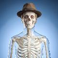 Mr. Skeleton avatar