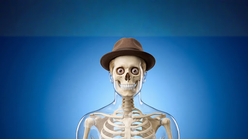 Mr. Skeleton banner