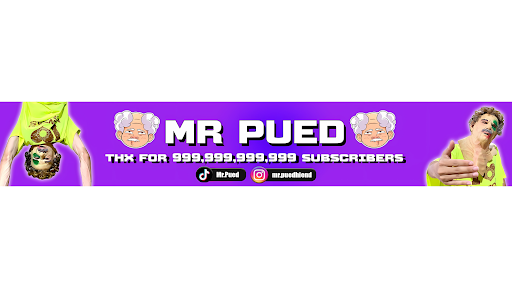 MR PUED banner