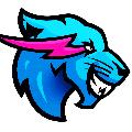 MrBeast Gaming avatar