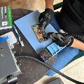 Reparación iPhone a domicilio  avatar