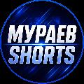 Мураев Shorts avatar