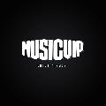 MUSIC VIP avatar
