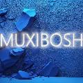 MUXIBOSH avatar