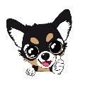 nanaちゃんねる avatar