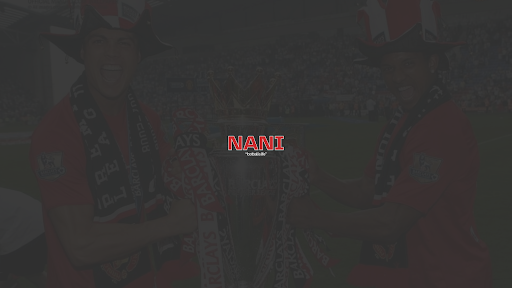 NaniFoty banner