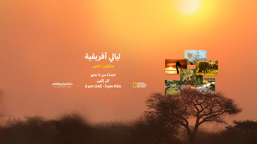 Nat Geo Abu Dhabi banner