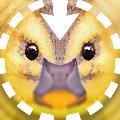 身近な生き物語 @naturaloop avatar