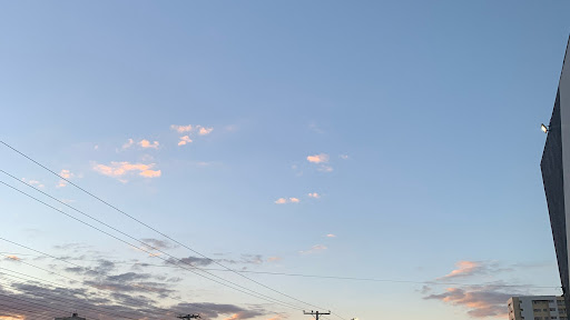 Nenellucasfãs banner