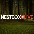 Nest Box Live avatar