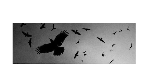Niñas encantadoras banner