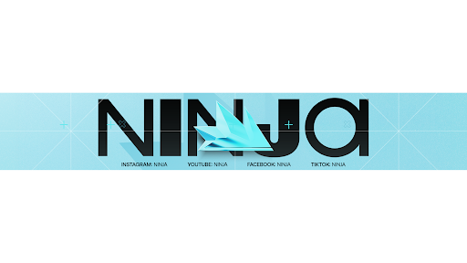 Ninja banner