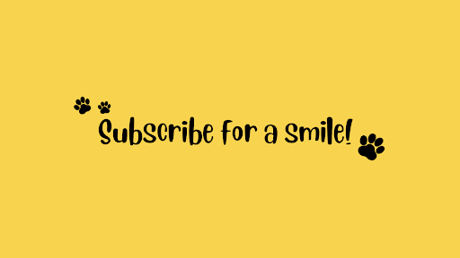 SMILZZ banner