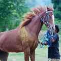 Ariirul is bck  avatar