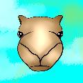 NUMACHER avatar