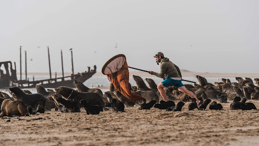 Ocean Conservation Namibia banner