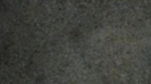 Charli xcx banner