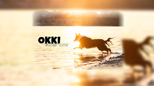 Маша и Окки banner
