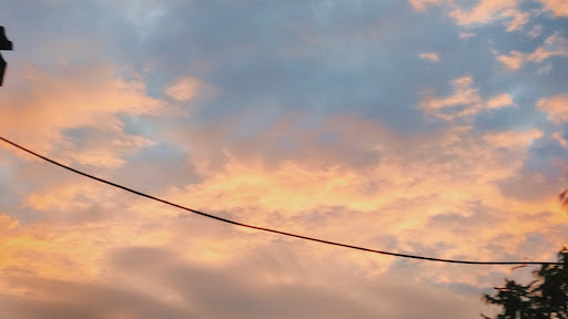 ở đây có nhiều thứ hay ho  banner