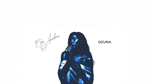Ozuna banner