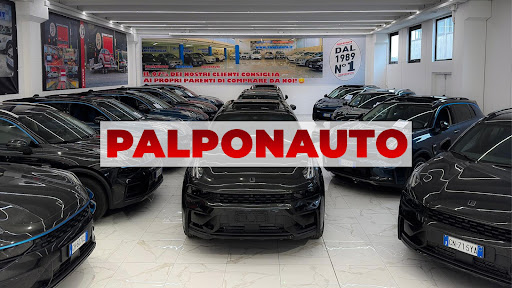PALPONAUTO banner