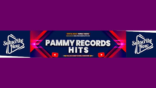 PAMMY RECORDS HITS banner