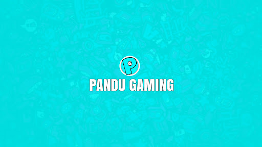 PANDU GAMING banner