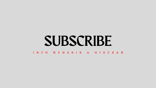 PAPILO banner
