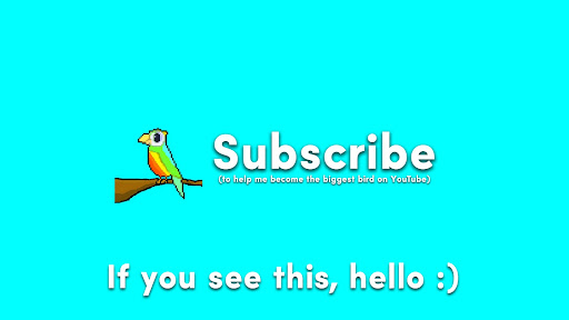 Parrot banner