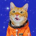 宇宙貓咪 Paw Booom avatar