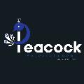 Peacock Entertainment avatar