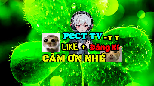 PECT TV banner