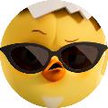 핍핍팝 | Peep Peep Pop avatar