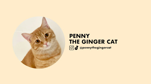 Penny the Ginger Cat 🐱 banner