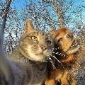 PetsAreAngelz avatar