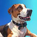 PETS PRA RIR avatar