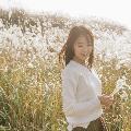 planD플랜디 avatar