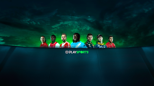 Play Sports banner