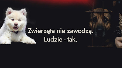 POMOCNA ŁAPA  banner
