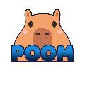 POOM avatar