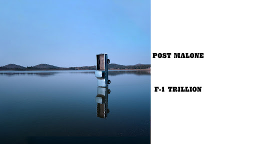 Post Malone banner