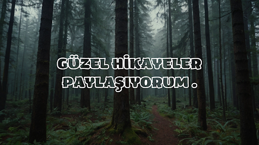 Poyraz Sarı banner