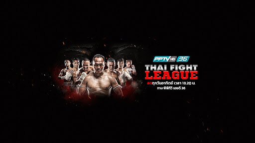 PPTV HD 36 banner