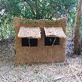 Primitive Survival Tool avatar