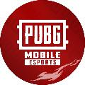 PUBG MOBILE Esports avatar