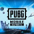 PUBG MOBILE Esports Pakistan avatar