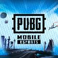 PUBG MOBILE Esports South Asia  avatar