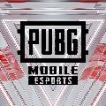 PUBG MOBILE Espor Türkiye avatar